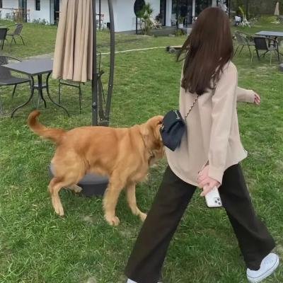 吴清源